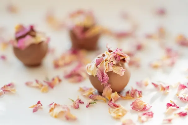 카지노 로터스 아시아 안드로이드/iOS 앱